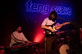 &laquo;So Much For Gardening&raquo; Tour Feng Suave (NL), Support: David Caspar (BS)
