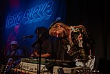 &laquo;So Much For Gardening&raquo; Tour Feng Suave (NL), Support: David Caspar (BS)