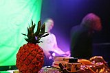 Casiokids (Norwegen)