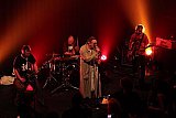 The Peacocks & Spielrausch (CH)