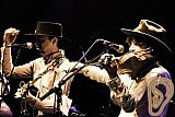 Guz und Zeno Tornado & The Boney Google Brothers