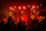 THE PEACOCKS [CH] |&nbsp;Support: THE STONE POPSICLES [CH]
