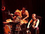 Buffalo Swing