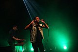 Pigeon John feat. Peter Daily (USA)