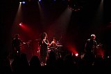 The BellRays (USA)