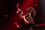 The BellRays (USA)