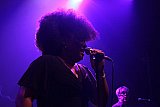 The BellRays (USA)