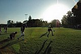 Fussballturnier PETZI-Cup Fribourg