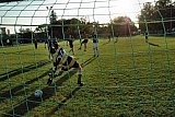 Fussballturnier PETZI-Cup Fribourg