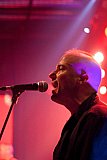 Aggrolites (USA)