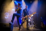 &laquo;Me Me Me&raquo; The Peacocks (CH), Support: The Bar Stool Preachers (UK)