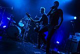 &laquo;Me Me Me&raquo; The Peacocks (CH), Support: The Bar Stool Preachers (UK)